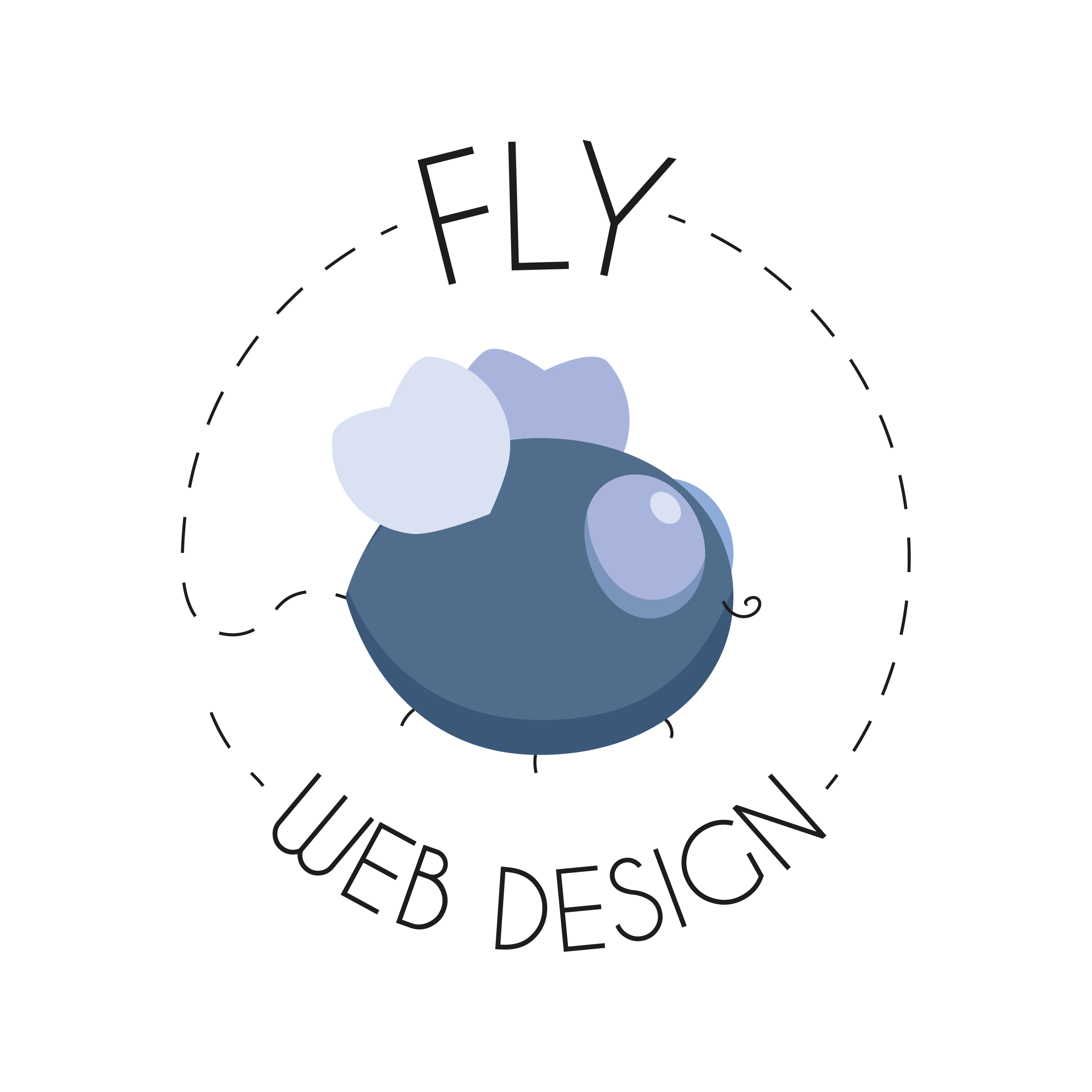 Fly Web Design